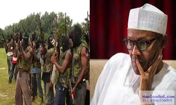 Why Buhari Must Visit Our Land - Niger Delta Avengers